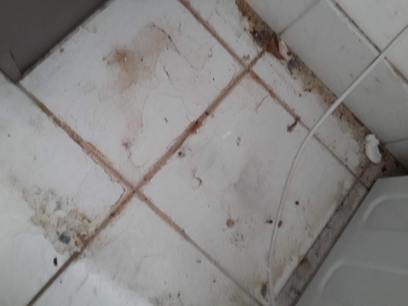 Grimy floor tiles before cleaning